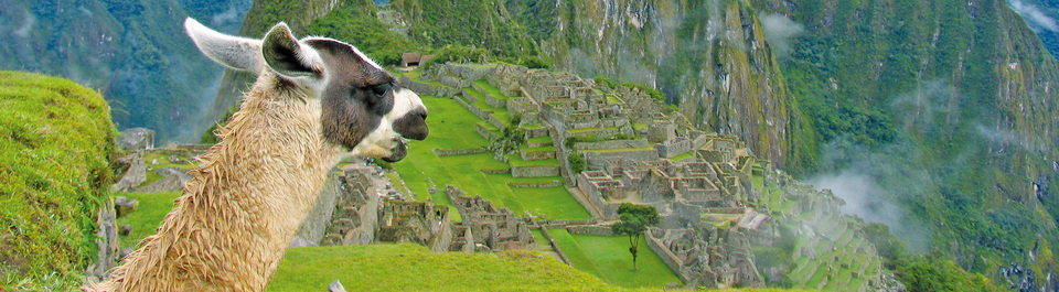 Blick auf die Inka Stadt Machhu Pichhu Peru Reise
