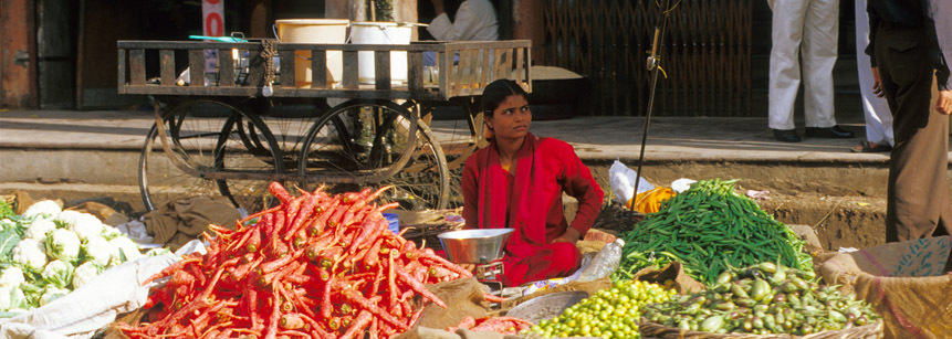 Indien reise mit Marktbesuch in Jaipur in  Rajasthan