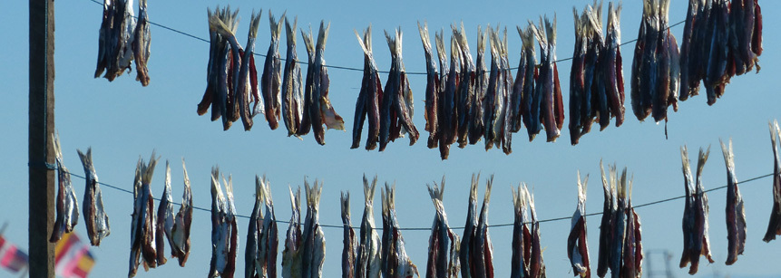 Zum Trocknen aufgehängter Fisch auf einem Fischmarkt in Myanmar