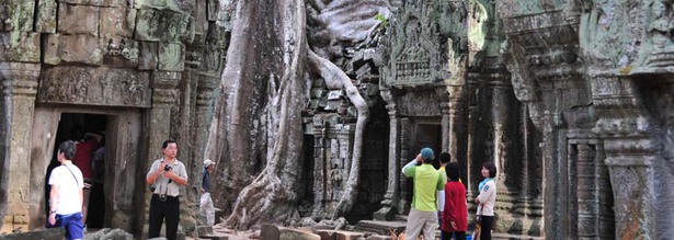 Ta Promh Tempel in Angkor in Kambodscha