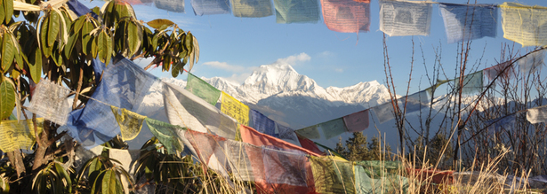 Blick auf den Berg Dhaulagiri vom Poon Hill aus mit bunten Gebetsfahnen im Vordegrund in Nepal