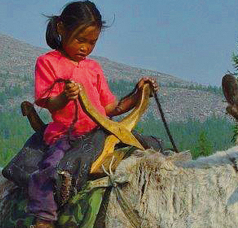 Besuch bei Rentierzüchtern in der Mongolei