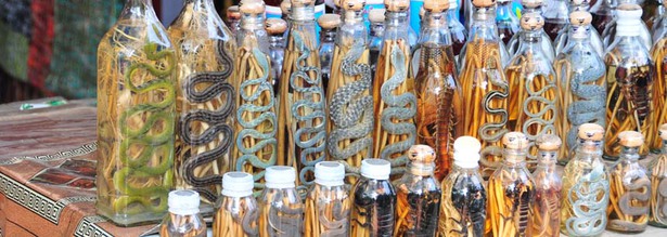 LaoLao Schnaps mit konservierten Schlagen in verschiedenen Flaschen in Laos