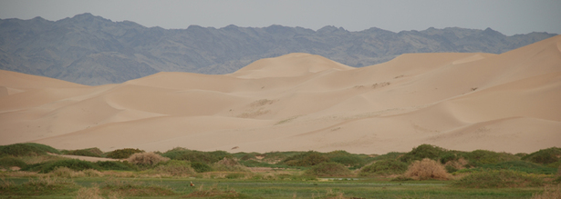Khongoryn Els Dünen der Wüste Gobi
