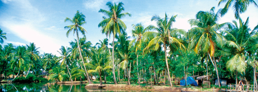 Strand mit Palmen auf einer Südindien Rundreise in Kerala