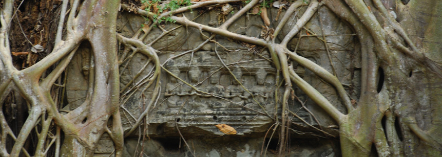 Von Wurzeln überwachsener Tempel von Ta Promh in Angkor in Kambodscha