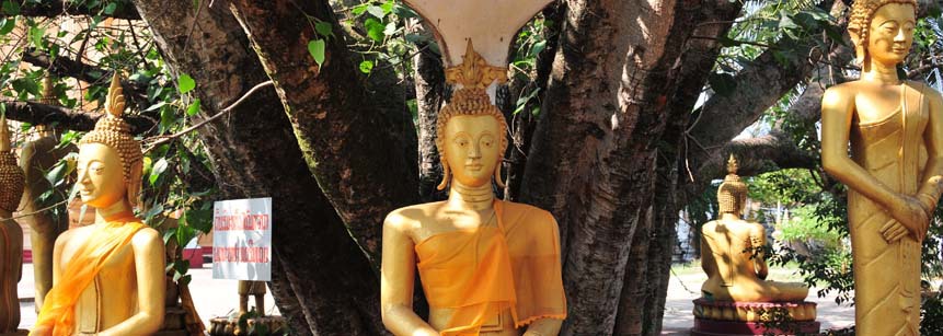 Vier goldene Buddha Figuren mit gelben Tüchern in Vientiane in Laos