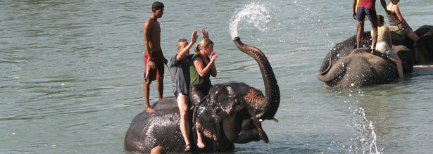 Vier Reisende und zwei Mahouts baden mit Elefanten im Fluß Chitwan Nationalpark in Nepal