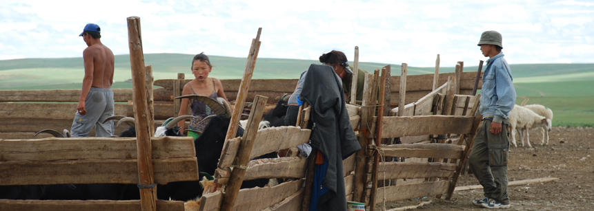 Pferdezüchter Familie in der Mongolei