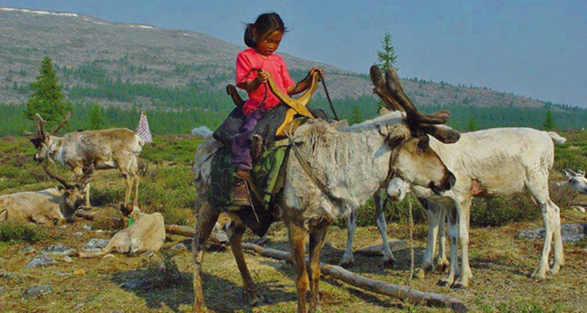Nomaden Mädchen auf einem Rentier im Norden der Mongolei