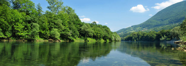 Blick auf den Fluss Drina mit bewaldetem Ufer in Serbien