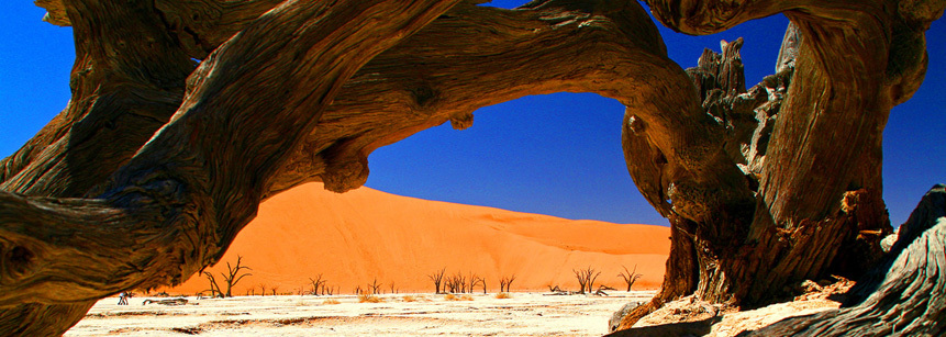 Blick vorbei an einer Wurzel auf die Sanddünen des Sossusvlei in Namibia