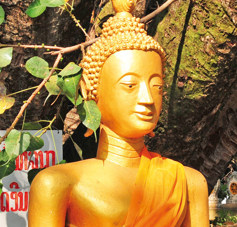 Buddha Figur an einem Baum in Vientiane in Laos