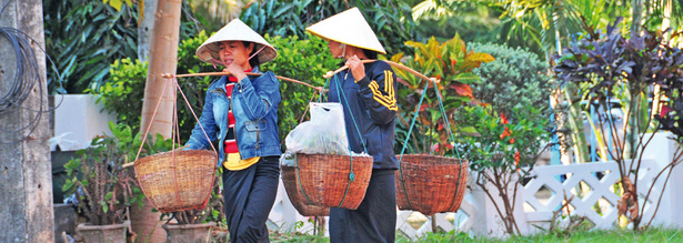 Einheimische mit vietnamesischen Hüten auf einer Vietnam Reise