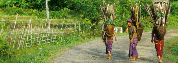 Einheimische Frauen in Arunachal während einer Indien Reise
