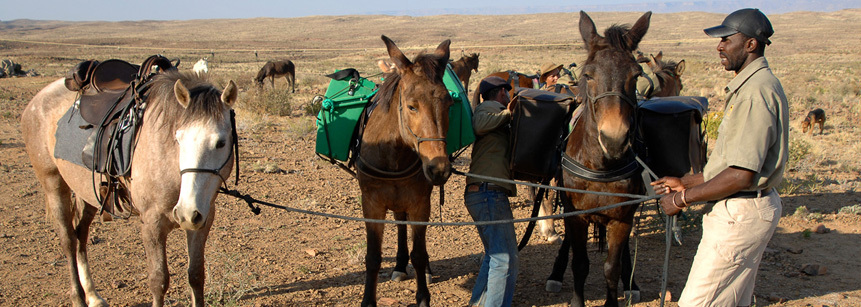 Einheimischer mit Pferden in Namibia