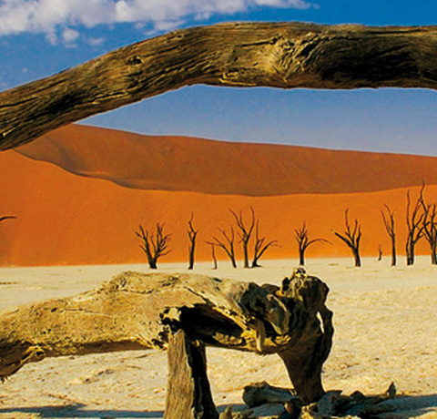 Blick auf die Sossusvlei Dünen in Namibia, die im Abendlich rot leuchten