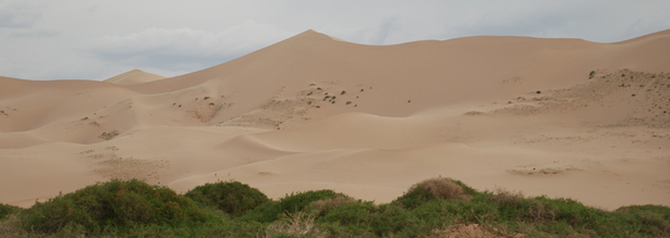 Die Mongolei hat viel zu bieten - auf einer Wüstenreise können wir die beeindruckenden Dünen der Wüste Gobi bereisen.