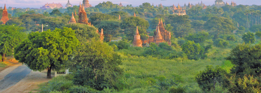 Blick auf das Tempelfeld bon Bagan in Myanmar