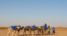 marokko gruppenreisen